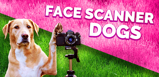 What dog am I simulator PC screenshot