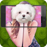 What dog am I simulator for PC