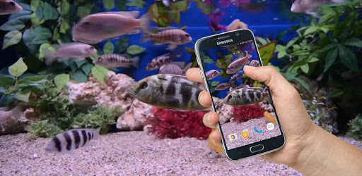 Aquarium 4K Live Wallpaper PC screenshot Aquarium 4K Live Wallpaper PC screenshot