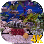Aquarium 4K Live Wallpaper for PC Aquarium 4K Live Wallpaper for PC