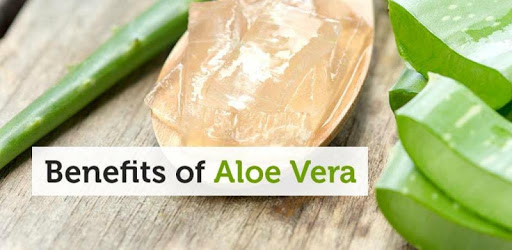 Aloe Vera Benefits PC screenshot