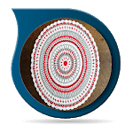 Crochet Doilies Idea icon