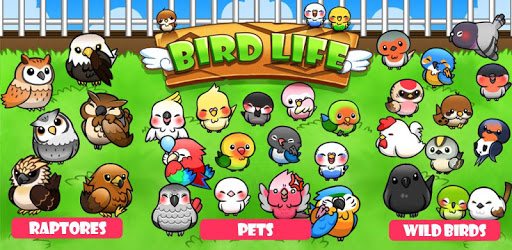 Bird Life PC screenshot