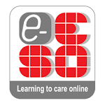 e-ESO for PC