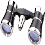 Binoculars icon