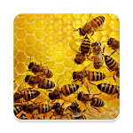 Apiary Book icon