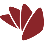 Curacao Money Transfer icon
