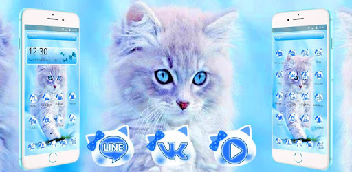 Cute Ice Blue Cat Theme PC screenshot