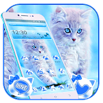 Cute Ice Blue Cat Theme icon