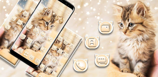 Cute Live Cat Theme PC screenshot Cute Live Cat Theme PC screenshot