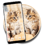 Cute Live Cat Theme icon