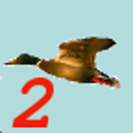 Birdhunt2 for PC Birdhunt2 for PC
