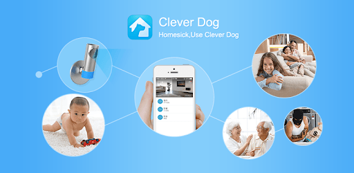Clever Dog PC screenshot