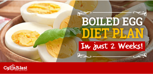 Best Boiled Egg Diet Plan PC screenshot