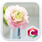 Romantic Pink Flower Theme HD for PC