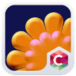 Bloomy Summer Flower Theme HD for PC