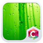 Green Leaf C Launcher Theme for PC
