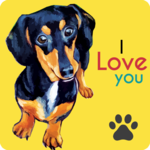 Dachshund Wallpaper for PC