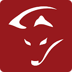 Smartfox icon