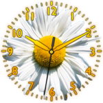 Daisy Flower Clock for PC Daisy Flower Clock for PC