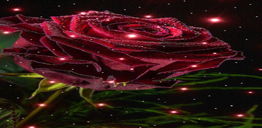 Magical Rose Live Wallpaper PC screenshot Magical Rose Live Wallpaper PC screenshot