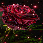 Magical Rose Live Wallpaper icon