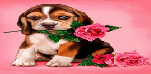 Puppy Rose Live Wallpaper PC screenshot