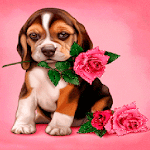 Puppy Rose Live Wallpaper for PC