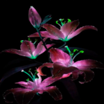 Purple Flowers Live Wallpaper for PC Purple Flowers Live Wallpaper for PC