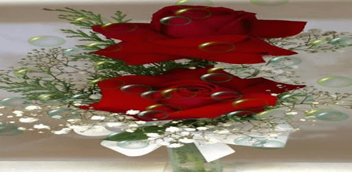 Red Roses Bubble LWP PC screenshot Red Roses Bubble LWP PC screenshot