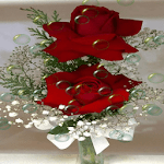 Red Roses Bubble LWP for PC Red Roses Bubble LWP for PC