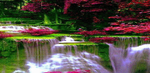 Waterfall Flowers LWP PC screenshot