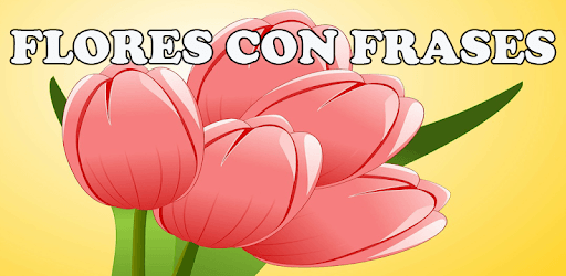 Flores Con Frases PC screenshot Flores Con Frases PC screenshot