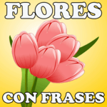 Flores Con Frases for PC Flores Con Frases for PC