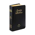 Holy Bible Reina Valera 1960 for PC