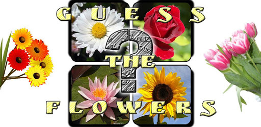 Guess The Flowers: Quiz PC screenshot