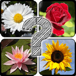 Guess The Flowers: Quiz icon