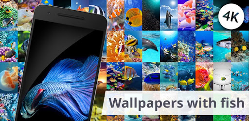 Wallpapers with fish PC screenshot