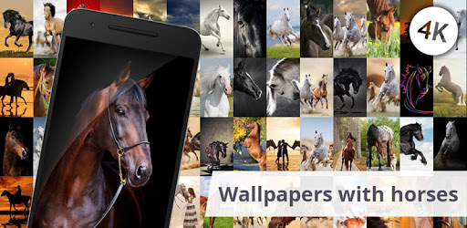 Wallpapers with horses PC screenshot Wallpapers with horses PC screenshot