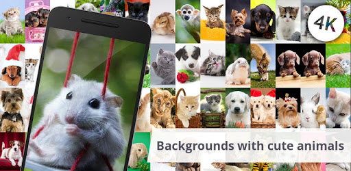 Backgrounds with cute animals PC screenshot