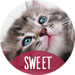 Backgrounds with cute animals for PC