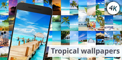 Tropical wallpapers PC screenshot