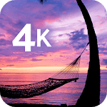 Tropical wallpapers icon
