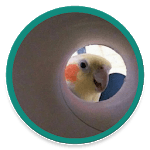 WAStickerApps - Animolz Stickers for chatting icon