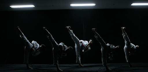 Taekwondo training PC screenshot
