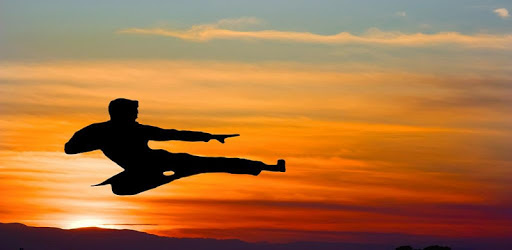 Learn Karate PC screenshot