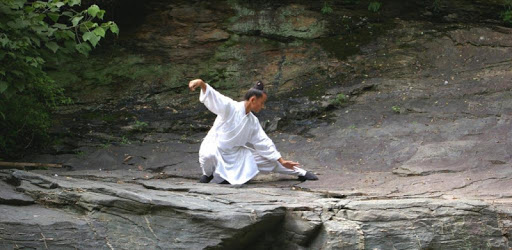Learn Tai Chi PC screenshot Learn Tai Chi PC screenshot