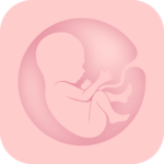 Day Day Baby - Pregnancy App icon
