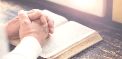 The Amplified Bible Free Download. AMP Offline PC screenshot