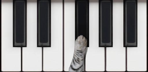 Cat Piano PC screenshot